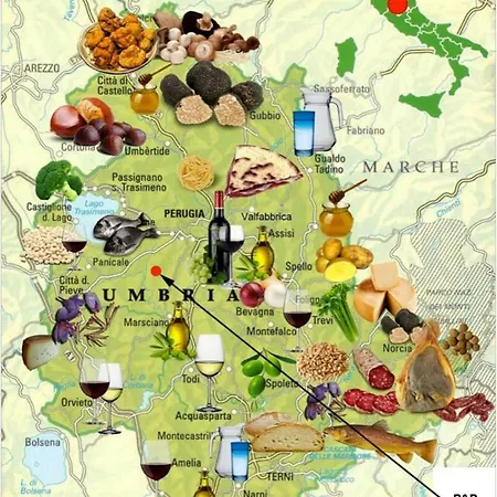 La Civetta E Il Gufo * Marsciano