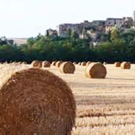 La Civetta E Il Gufo Bed & Breakfast Marsciano