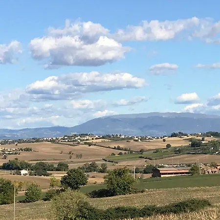 La Civetta E Il Gufo מרשאנו