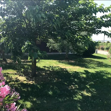 La Civetta E Il Gufo Bed & Breakfast *