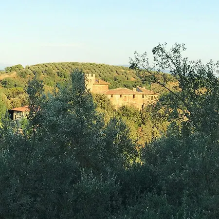 La Civetta E Il Gufo * Marsciano