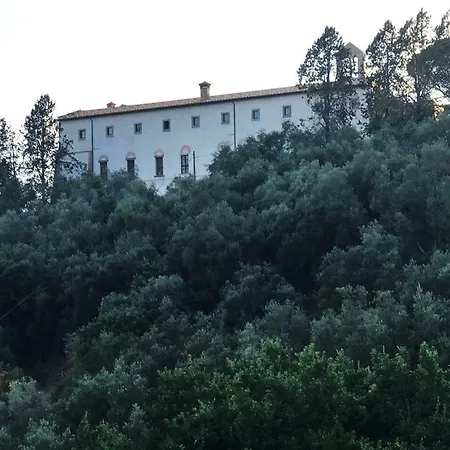 La Civetta E Il Gufo